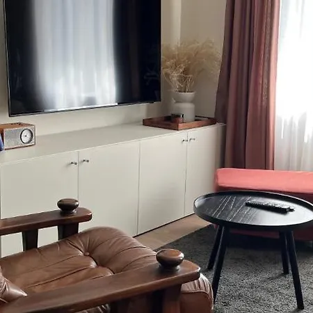 Le Baumann Concept: De Charme Dans Un Monument Historique Appartement *