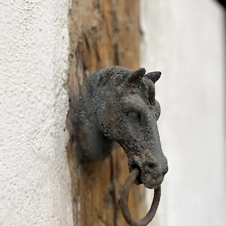 Le Baumann Concept: De Charme Dans Un Monument Historique Apartment *